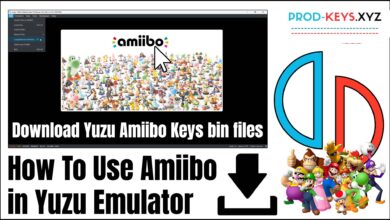 Yuzu Amiibo Keys Download (bin files)